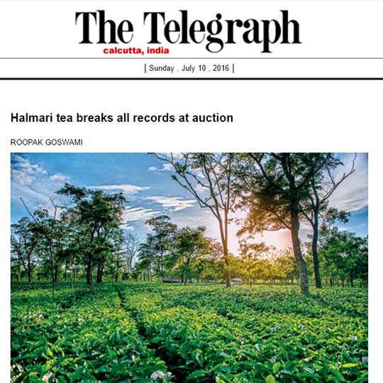 Halmari tea breaks all records at auction
