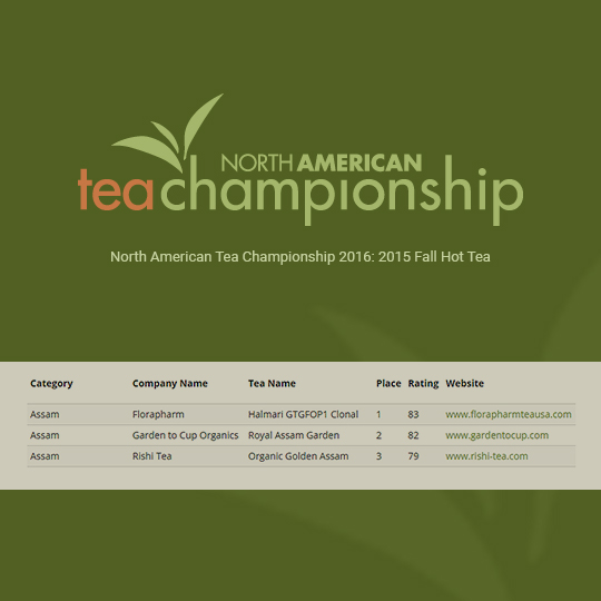 North American Tea Championship 2016: 2015 Fall Hot Tea