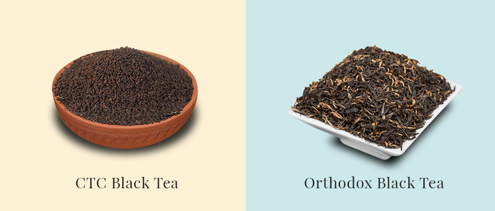 CTC Black Tea and Orthodox Black Tea
