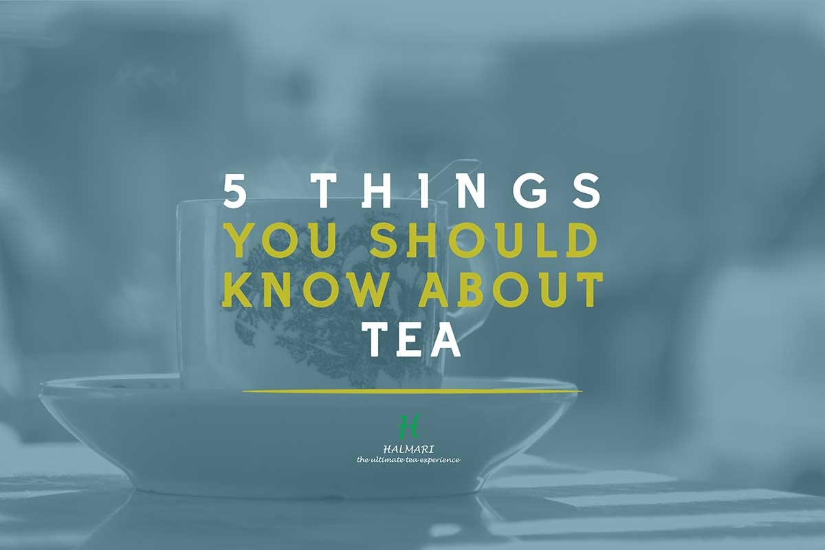 Tea-Myths_Blog_Image