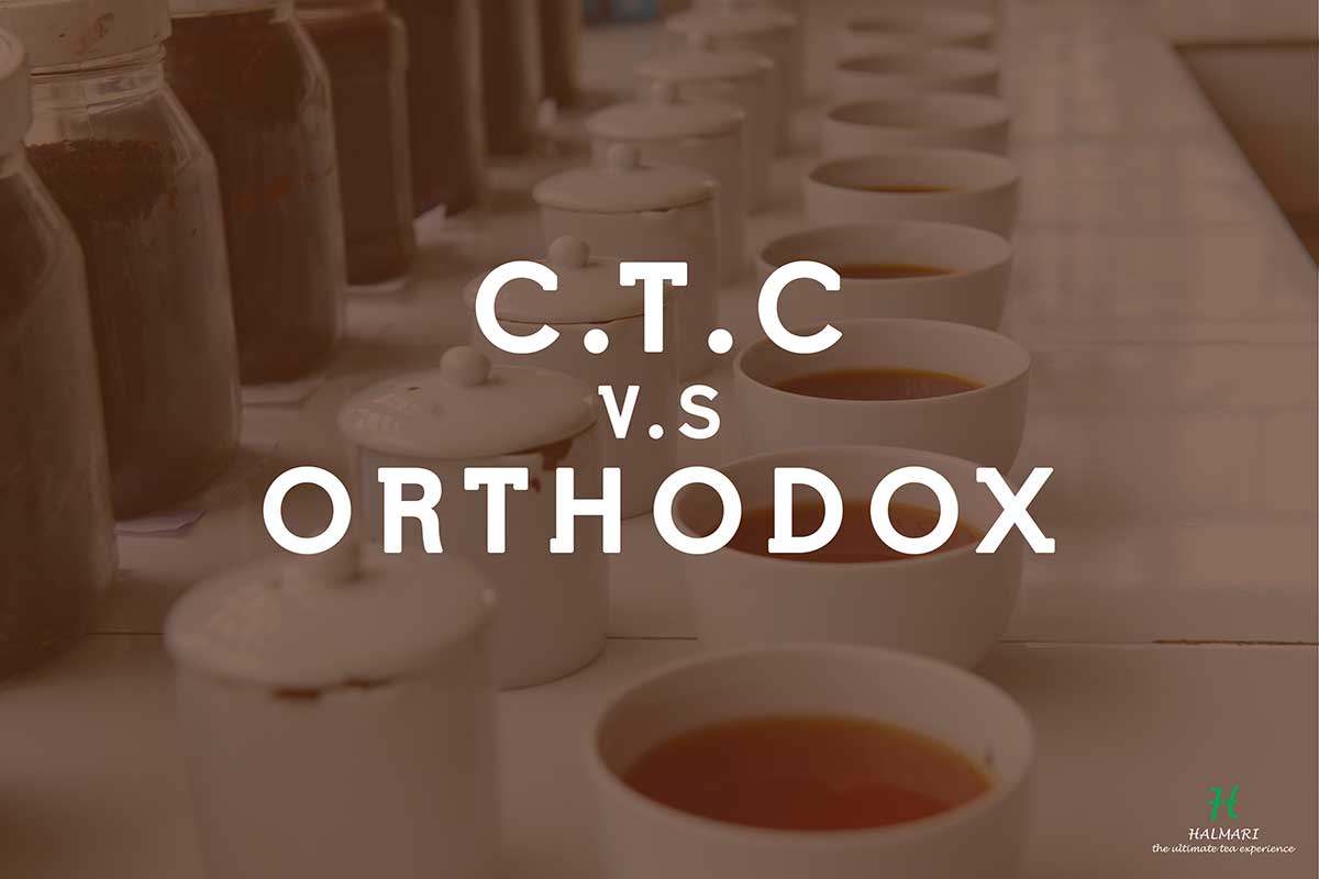 CTC vs Orthodox Tea_Blog