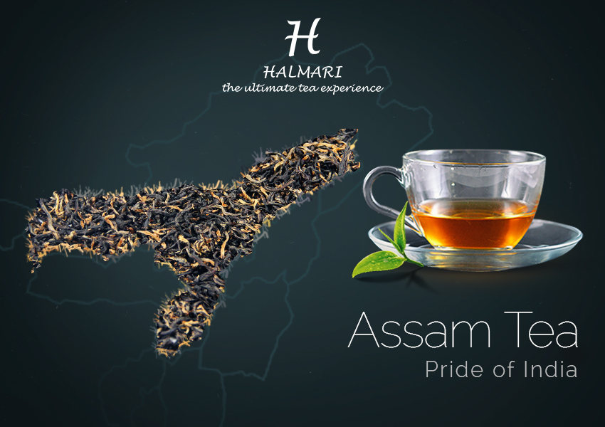 Assam Tea – Pride of India