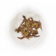 white tea leaf