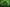 updates