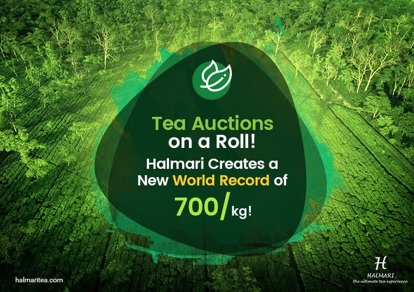 Bidders across the Globe Set World Records at the Spring Tea Auctions, 2018!