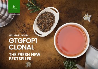 Fresh and Better than 2017: Halmari Gold GTGFOP1 Clonal the New Bestseller
