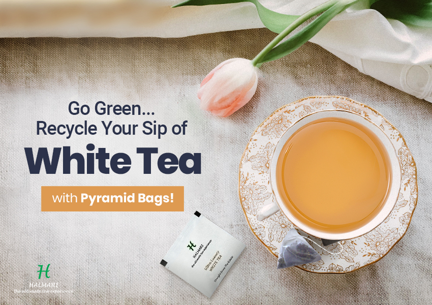 White Tea with Pyramid Bags