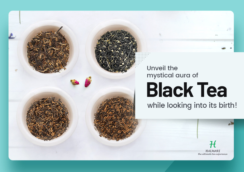 Unveil the mystical aura of black tea