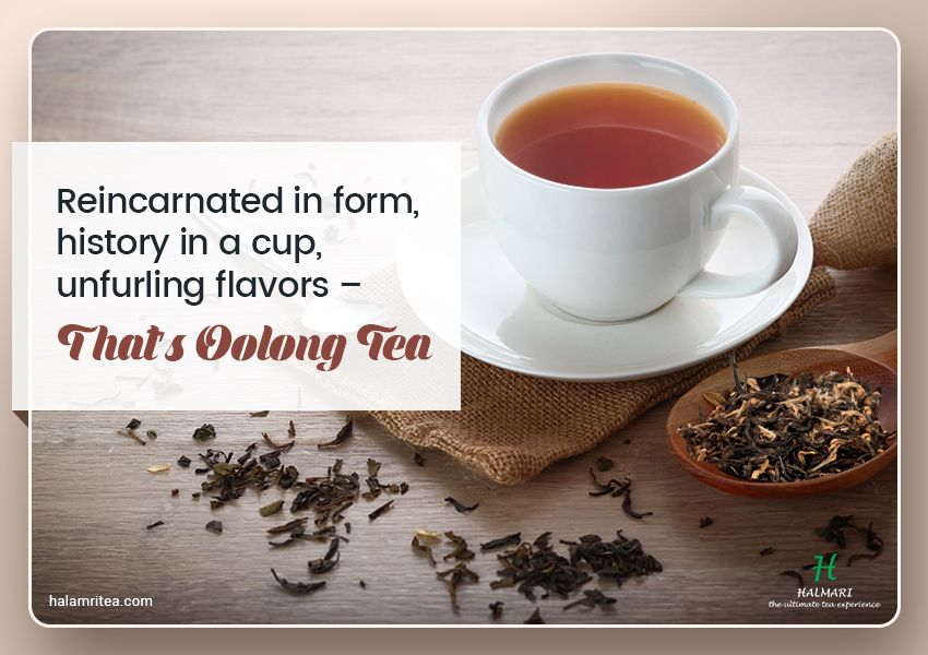 history cup flavor of Oolong Tea