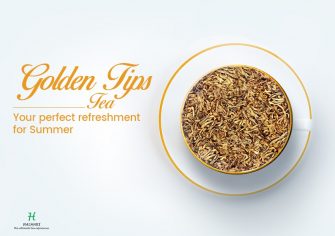 Golden Tips Tea – Some Essential Facts to Know About this Unique Beverage