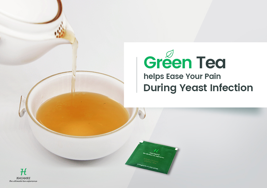 green tea help yeast infection