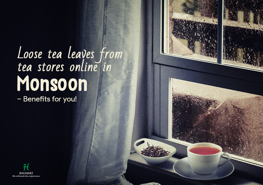 Loose tea leaves from tea stores online in monsoon