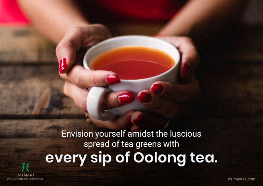 premium oolong tea