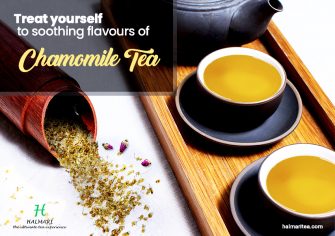 5 Reasons To Try Chamomile Tea Today | Skin | Hair | Health!