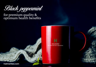 Buy Black Peppermint Tea and Get the Most Out Of This Super Drink