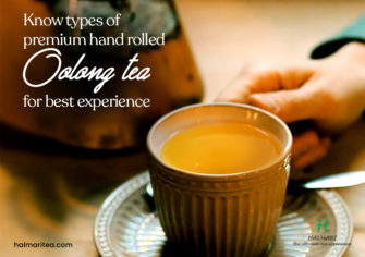 Check out Types of Premium Hand Rolled Soothing Oolong Tea