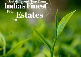 Fresh Tea Types to Order from India’s Finest Tea Estates