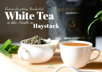 Why Getting Handpicked White Tea is like Finding Needle in Haystack?