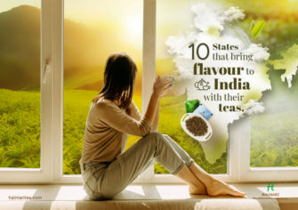 10 Best Tea Plantation States of India