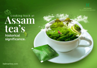 A Glimpse of the History of Assam Tea
