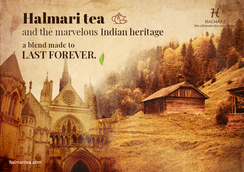 The History of Tea in India from the Golden Pages of Halmari