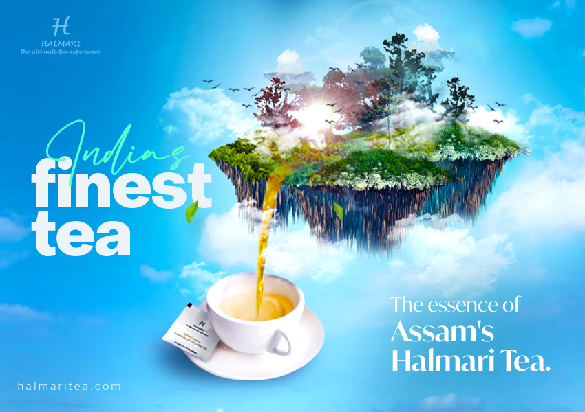 India’s finest tea: The essence of Assam’s Halmari tea