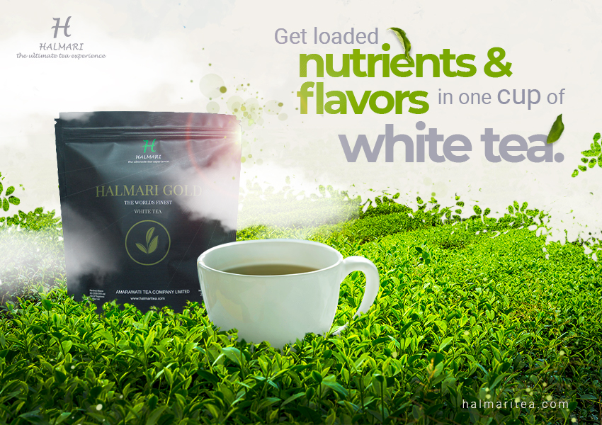 Get loaded nutrients and flavors in one cup of white tea.Get loaded nutrients and flavors in one cup of white tea