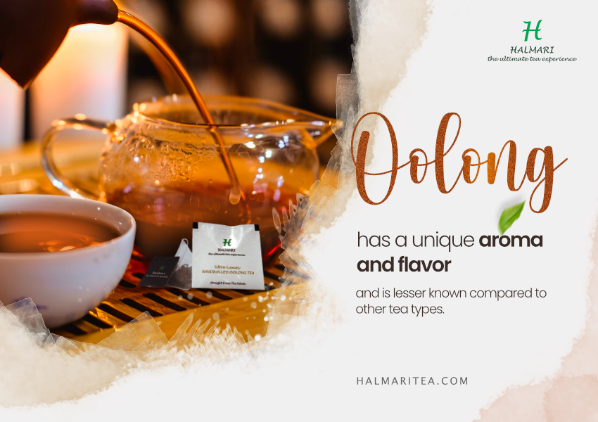 All You Need To Know About Our Halmari Gold Hand-Rolled Oolong Tea