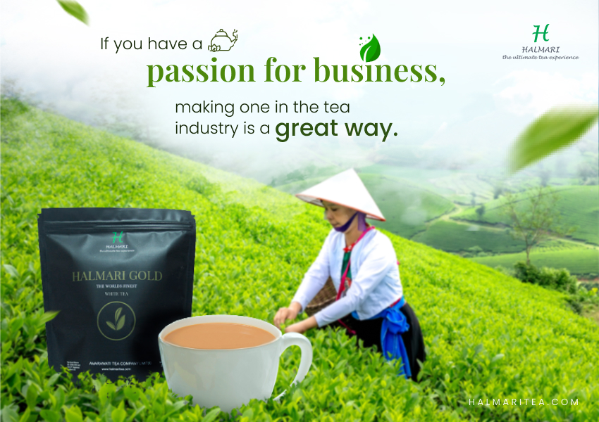 5 Basic Things to know Before Starting a Tea Business