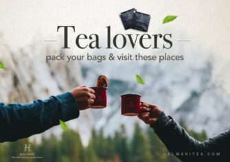 Travel destinations for tea lovers