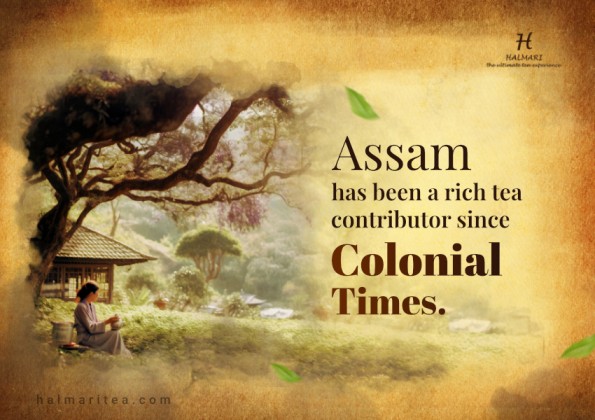 Assam tea has now become one of the selling teas in the world.