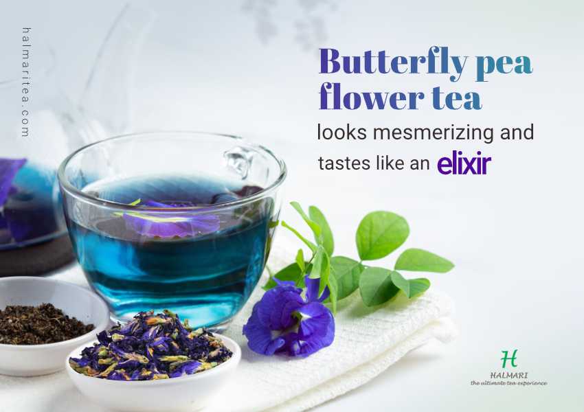 Butterfly pea flower tea looks mesmerizing and tastes like an elixir