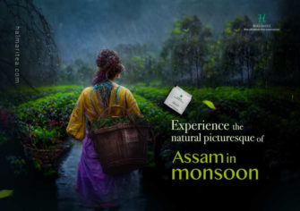 Unraveling the Monsoon Charms: Exploring Assam Tea and its Online Delights
