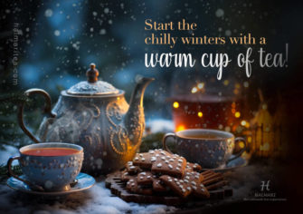 Winter Wonderland in a Cup: The Magic of Seasonal Tea Blends