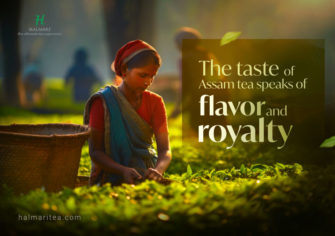 History of Tea in Assam: Everything You Need To Know