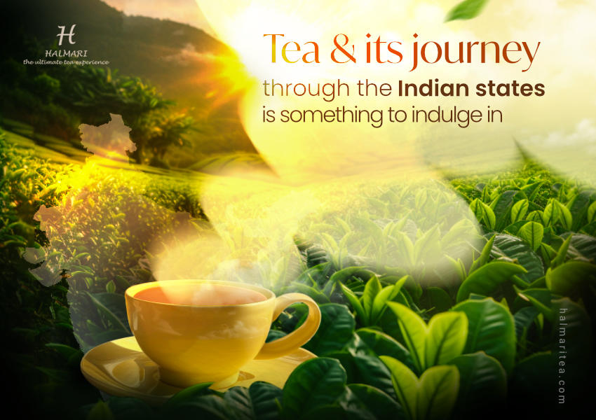 Major Tea Producing States in India
