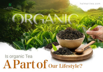 Discover the Benefits of Organic Tea | What Is Organic Tea?