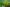 DVS_19