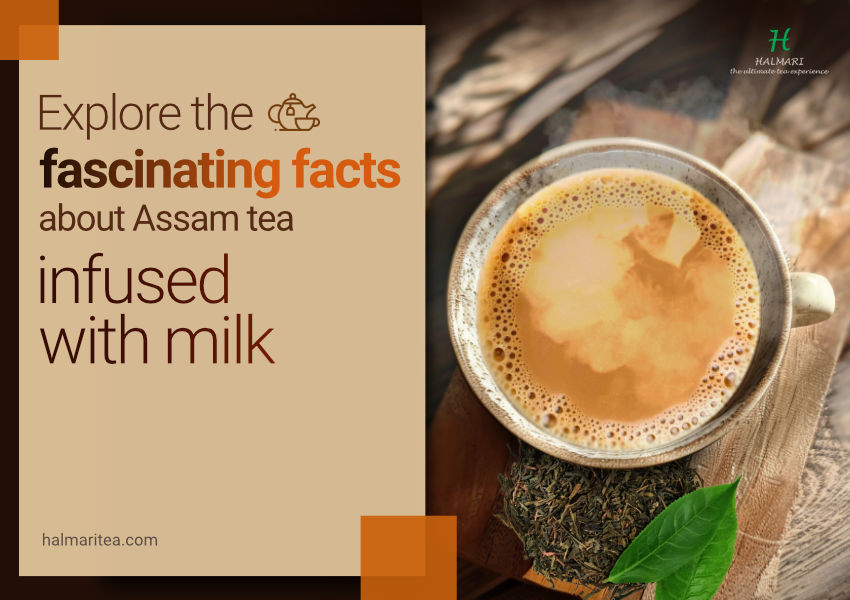 Assam Milk Tea | History, Benefits, and Easy Recipe