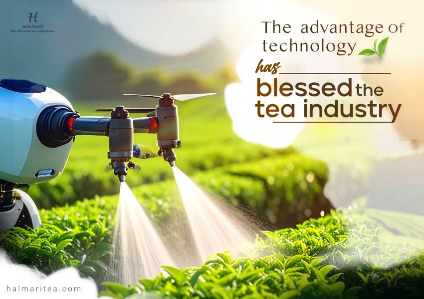 How AI is Revolutionising Tea Manufacturing Industry