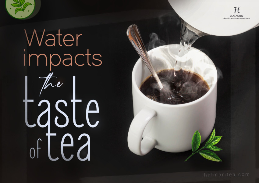 Key Factors in Water Quality That Affect Tea
