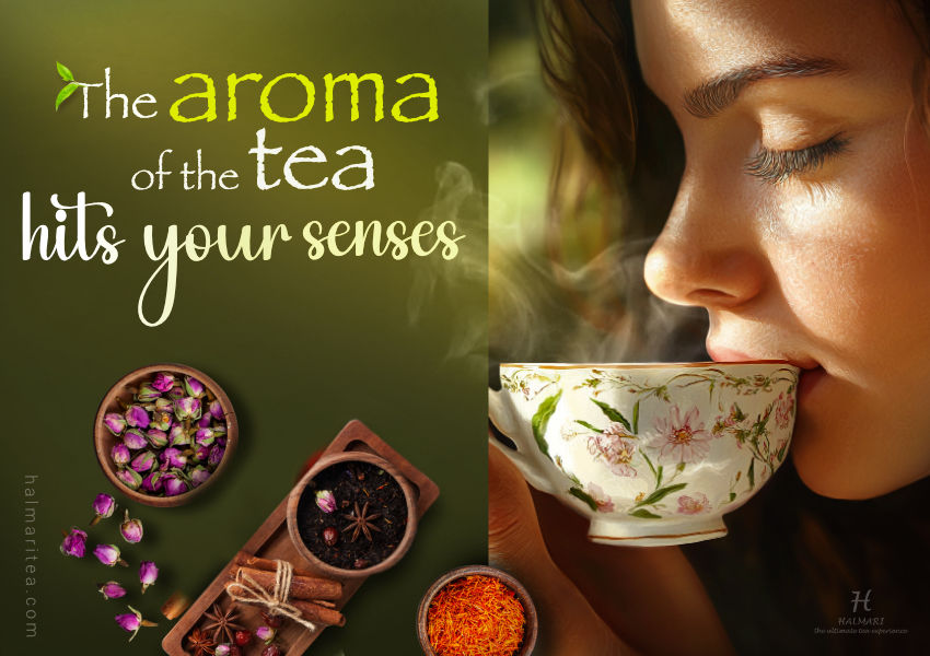The Science of Aroma in Tea: Terpenes, Oils, and Sensory Notes