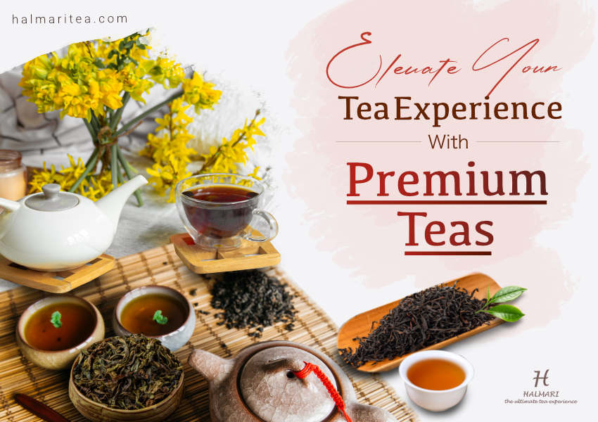 What are the Most Expensive Teas in the World?