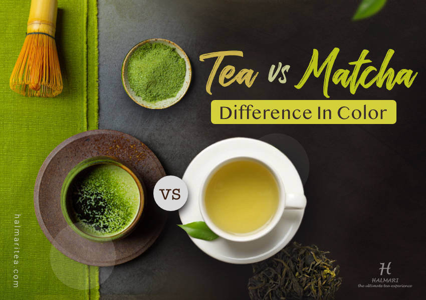 Green Tea vs Matcha Tea