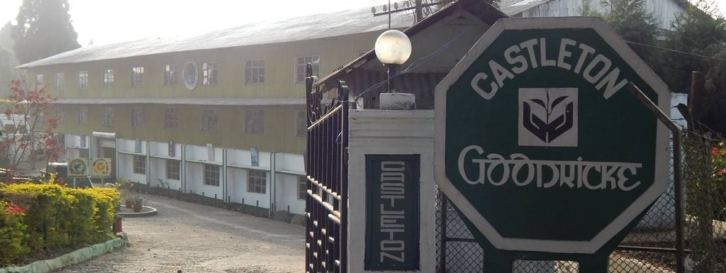 Castleton Tea Estate Darjeeling known for its aromatic first flush and muscatel second flush teas