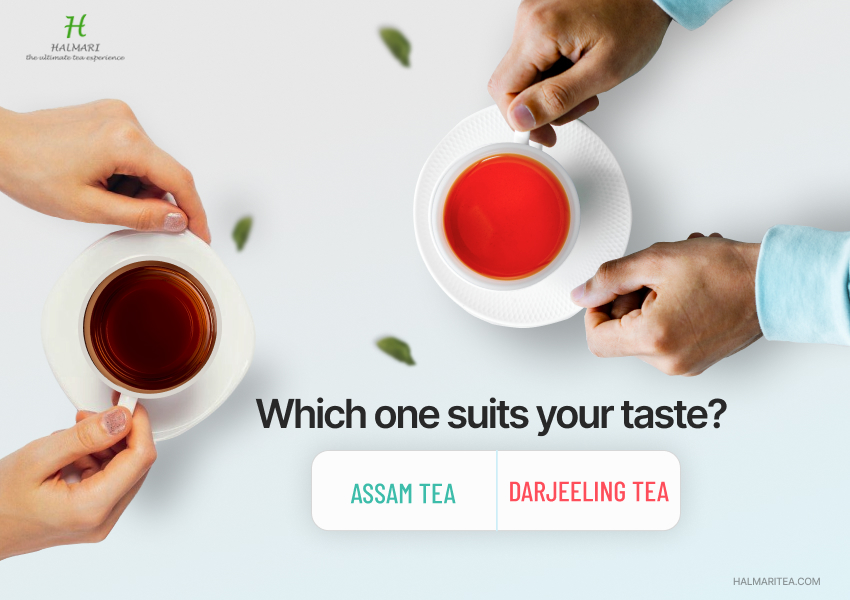 Visual comparison of Assam tea vs Darjeeling tea, highlighting color, strength, and flavor differences.