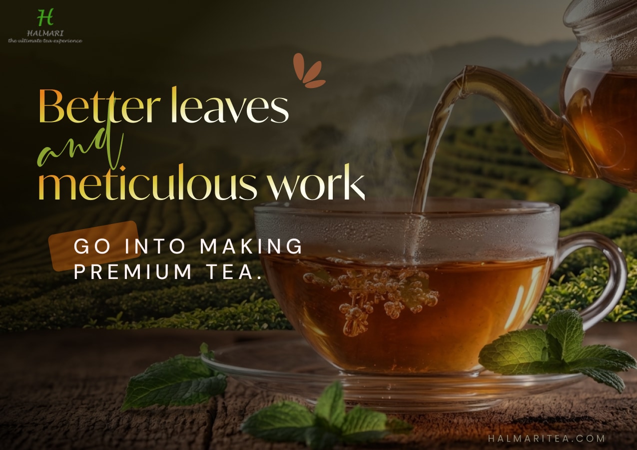 Premium tea being poured into a glass cup with fresh mint leaves and scenic tea garden background.
