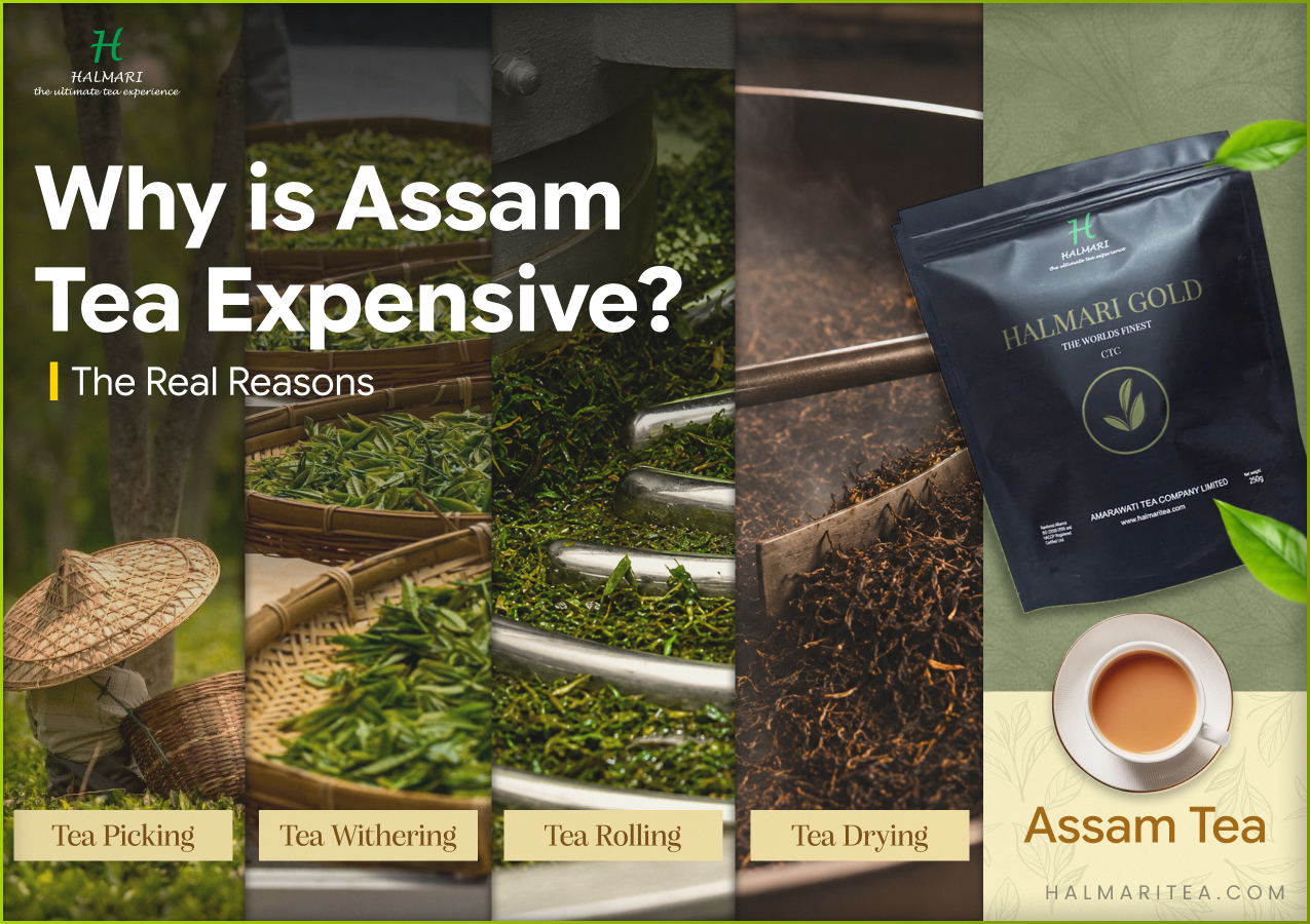 Why is Assam tea expensive? Image showing the tea picking, withering, rolling and drying process.
